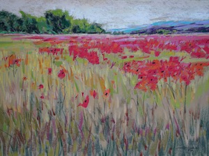 <b>French Poppies 6</b><br/>Image Size 24 x 18<br/>Framed Size 32 x 26<br/>Sold<br/>