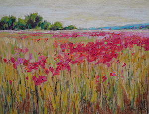 <b>Poppies, France 10</b><br/>Image Size 24 x 18<br/>Framed Size 32 x 26<br/><br/>